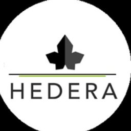 Company logo Hedera Hiring Ltd