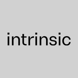 Company logo Intrinsic