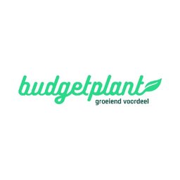 Company logo Budgetplant
