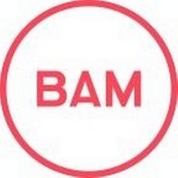 Company logo BAM Strategy