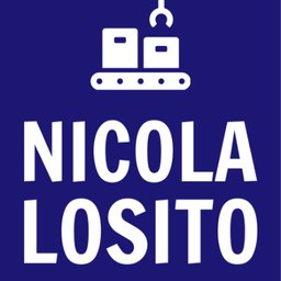 Firmenlogo N. Losito GmbH