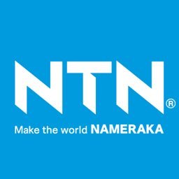Company logo NTN Global