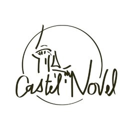 Logo de l'entreprise SAS CASTEL NOVEL