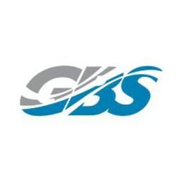Company logo Global Business Solutions