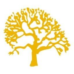 Company logo White Oak Management, Inc.