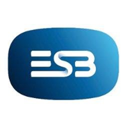 Company logo Electricity Supply Board (ESB)