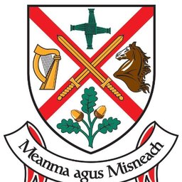 Company logo Kildare County Council