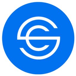 Company logo Savvy Salon Club