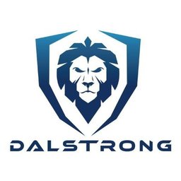 Company logo Dalstrong