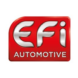 Logo de l'entreprise EFI Automotive