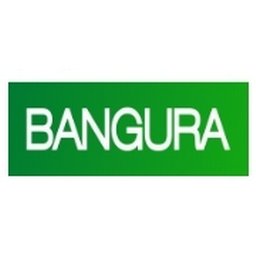 Company logo Bangura Solutions