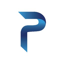 شعار الشركة PalladiumHR Consultants