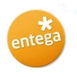 Firmenlogo ENTEGA AG