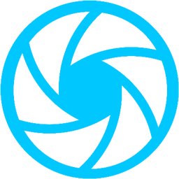 Company logo Snapsheet