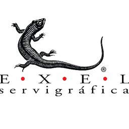 Logotipo de la empresa Exel Servi Gráfica
