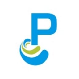 Logotipo de la empresa PSICONET CONSULTING MEXICO SC