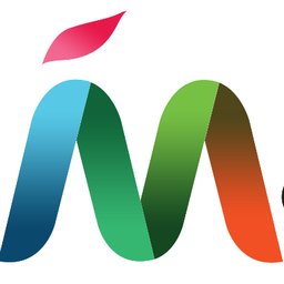 Company logo MAPSTED
