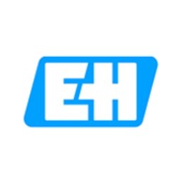Company logo Endress+Hauser