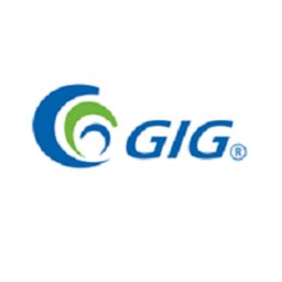 Logotipo de la empresa GIG DESARROLLOS INMOBILIARIOS S.A DE C.V