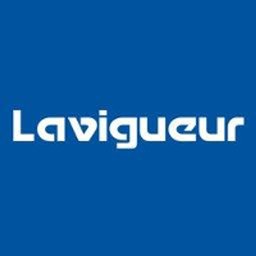 Company logo BIJOUTERIE LAVIGUEUR