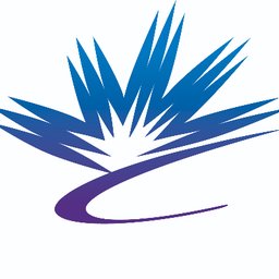 Company logo CANADIAN LIGHT SOURCE INC.