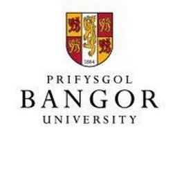 Company logo Bangor University