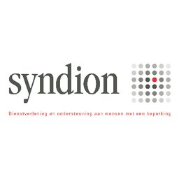 Company logo Syndion
