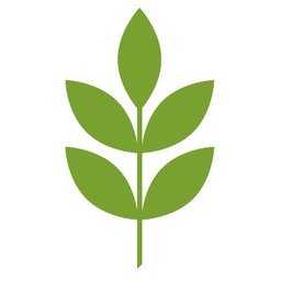 Company logo EVOOLUTION