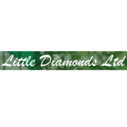 Company logo Little Diamonds Ltd