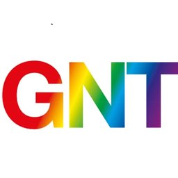 Company logo GNT International