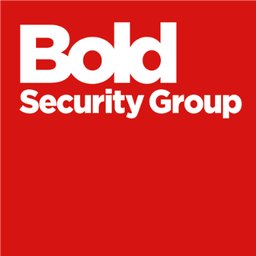 Company logo BSG