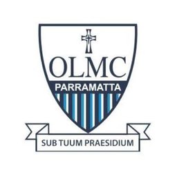 Company logo OUR LADY OF MERCY COLLEGE