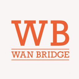 Company logo Wan Bridge Group
