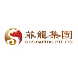 GDS CAPITAL INC Logo