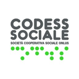 Company logo Codess sociale