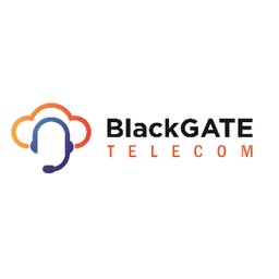 Company logo BlackGATE B.V.