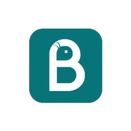 कंपनी का लोगो Brillant Professional Campus
