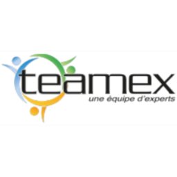 Logo de l'entreprise TEAMEX