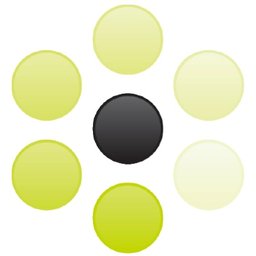 Logotipo de la empresa Blackstone Medical Services