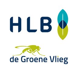 Company logo HLB Groep