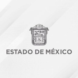 Logotipo de la empresa Bolsa de Trabajo Edo Mex