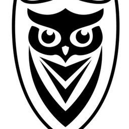 Company logo Security Guards Services and Solutions B.V