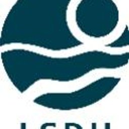 Logo de l'entreprise LSDH