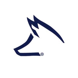 Company logo FOX MOTORS