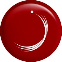 شعار الشركة Zayed University