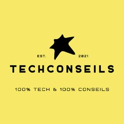 Logo de l'entreprise TechConseils