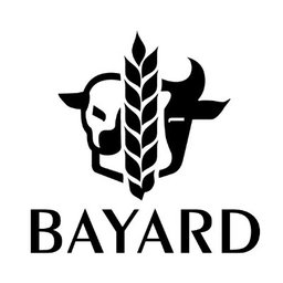 Logo de l'entreprise BAYARD DISTRIBUTION