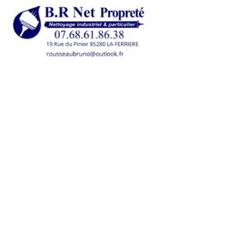 Logo de l'entreprise BR NET PROPRETE