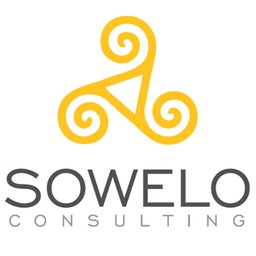 Company logo Sowelo Consulting sp. z o.o. sp. k.