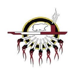 Company logo ANISHNAWBE HEALTH TORONTO